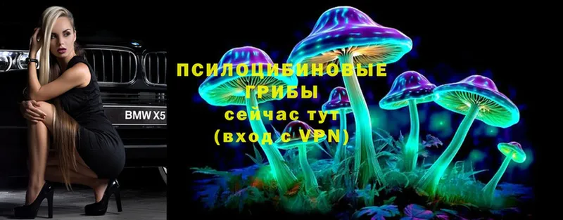 Псилоцибиновые грибы Magic Shrooms  сколько стоит  Краснокаменск 